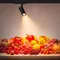 Минифото #2 товара Светильник LGD-GERA-4TR-R74-20W Warm SP3000-Fruit (Белый, 36 deg, 230V) (Arlight, IP20 Металл, 5 лет)