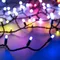 Минифото #1 товара Светодиодная гирлянда ARD-STRING-CLASSIC-10000-BLACK-100LED-MILK-LIVE RGB-DMX (24V, 10W) (Ardecoled, IP65)