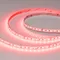 Минифото #2 товара Светодиодная лента RT-A168-10mm 24V RGBW-Day (20 W/m, IP20, 5m) (Arlight, высок.эфф.150 лм/Вт)